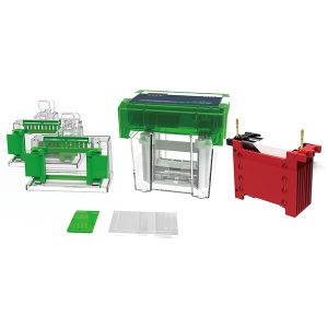 kõik ühes elektroforeesi ja blotingu süsteemis