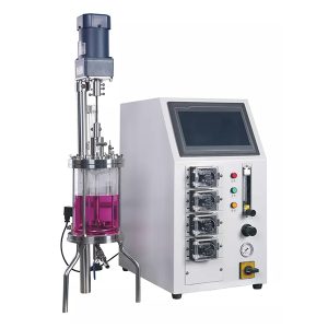 klaasist ensüümireaktor