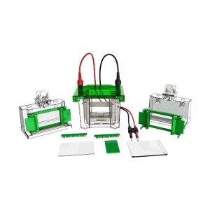 mini vertikaalne elektroforeesikamber