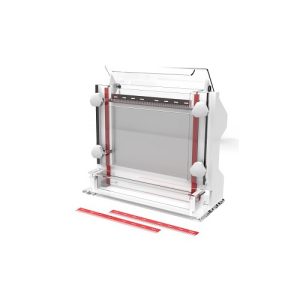 nukleiinhappe järjestuse elektroforees rakk