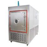 vaakum-pilootmõõtmeline lüofilisaator